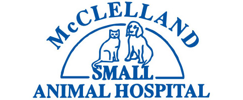 McClelland Small Animal Hospital | Buffalo, NY | Veterinary Clinic & Animal  Hospital