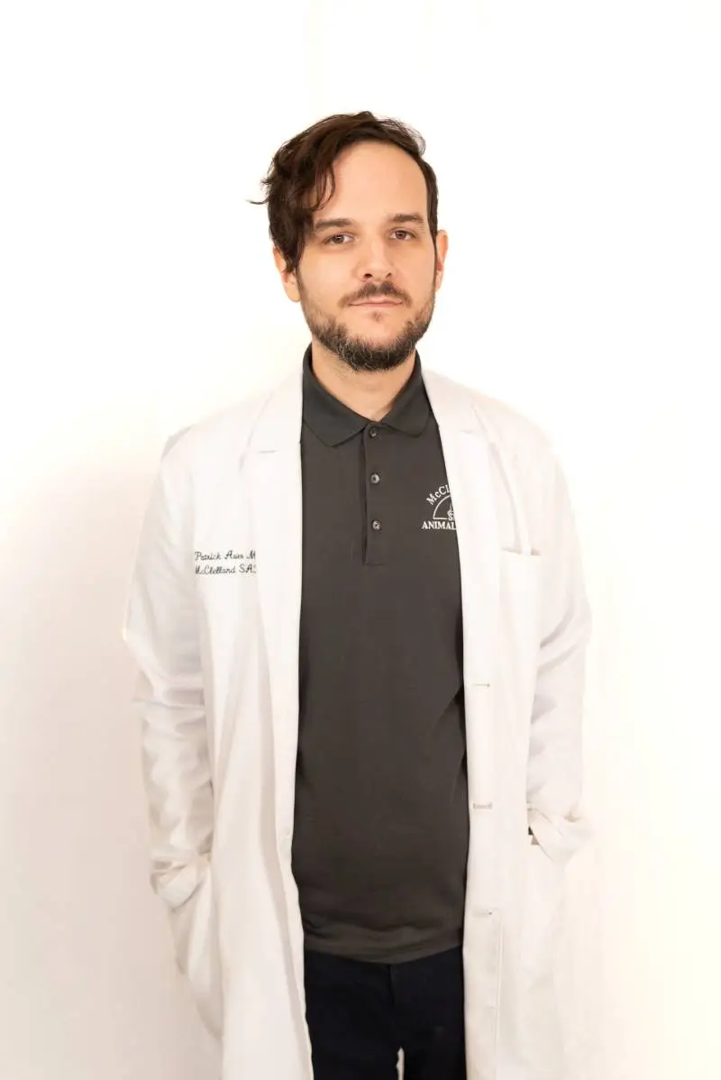 Headshot of Dr. Patrick Auer